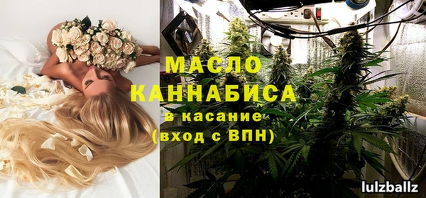 индика Верхний Тагил