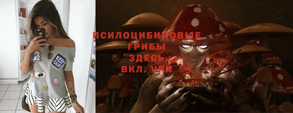 индика Верхний Тагил
