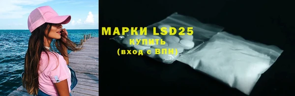 индика Верхний Тагил