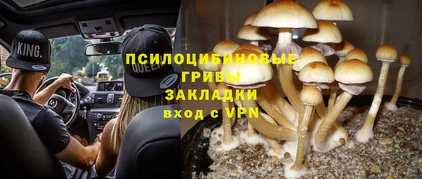 ALPHA-PVP Верея