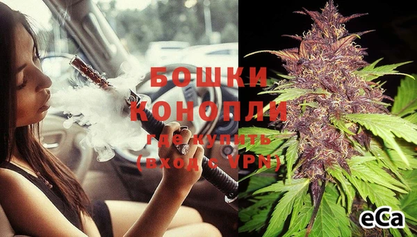 индика Верхний Тагил